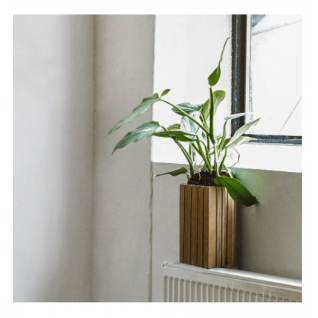 GrowSmall planter – Squarely