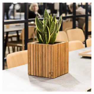 GrowOn planter - Squarely 