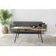 Wooden and metal low table - Alphonsa