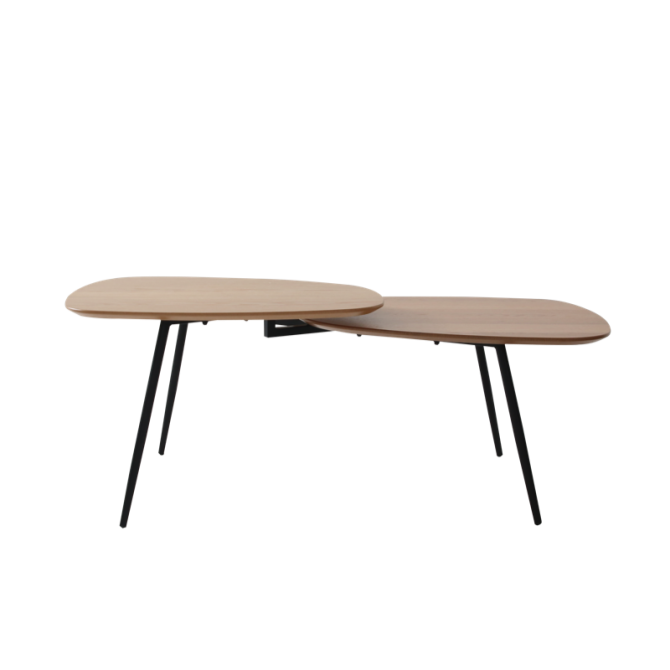 Wooden and metal low table - Alphonsa