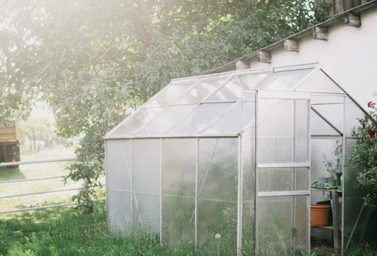 From Balcony to Backyard: Which Greenhouse Fits Your Needs?
