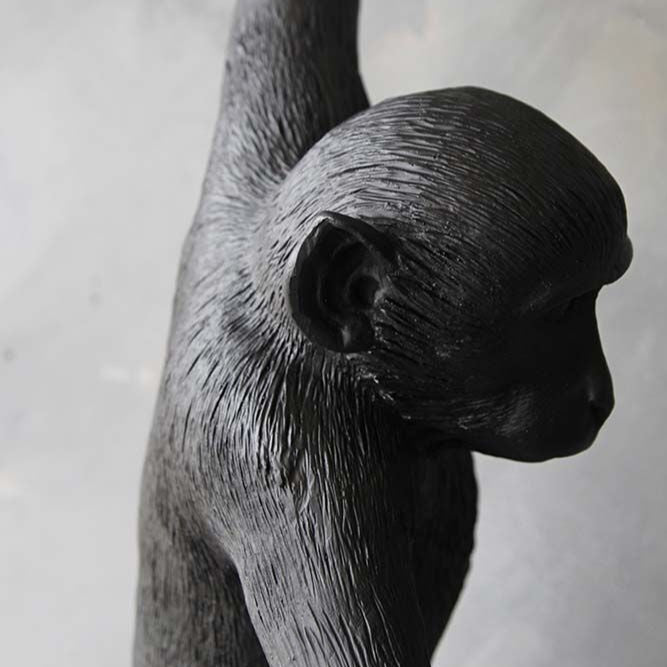 Monkey  Wall lamp 