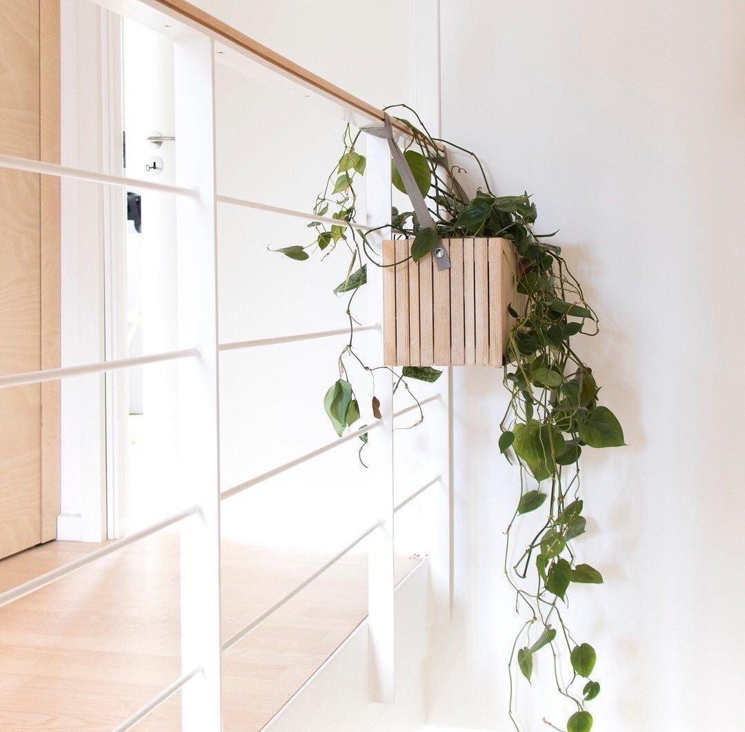 GrowOn hanging planter - Squarely 