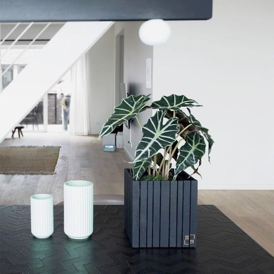 GrowOn planter - Squarely 