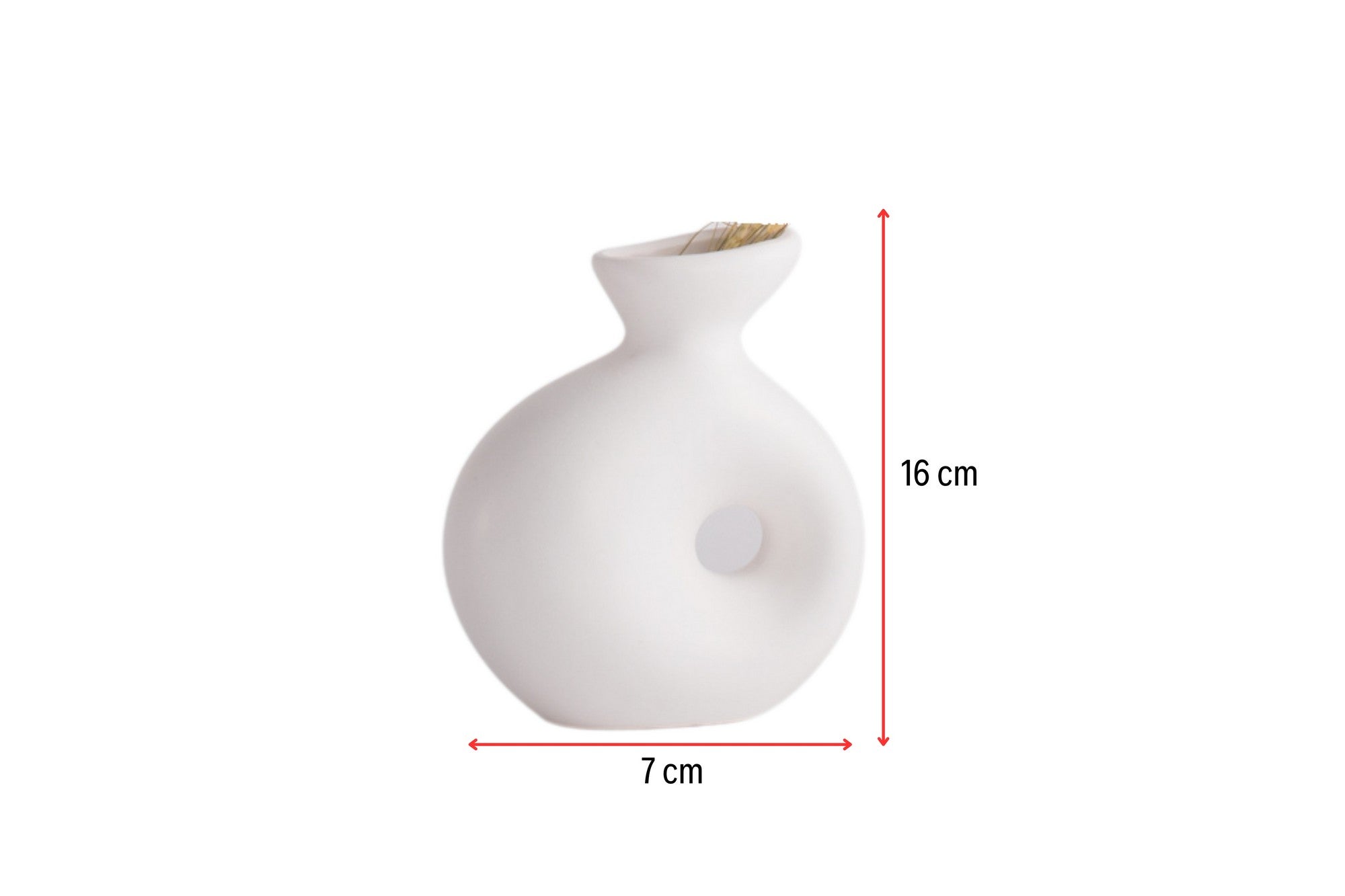 Decorative Vase CERAMIC | 230TRV1264