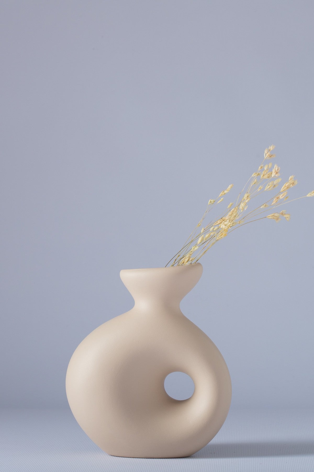 Decorative Vase CERAMIC | 230TRV1266