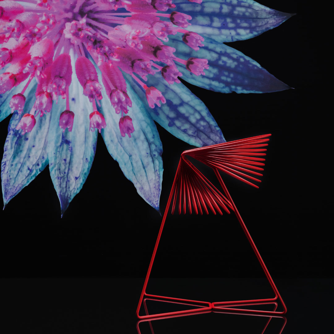 OUToo Wire outdoor Chair - Filuferro