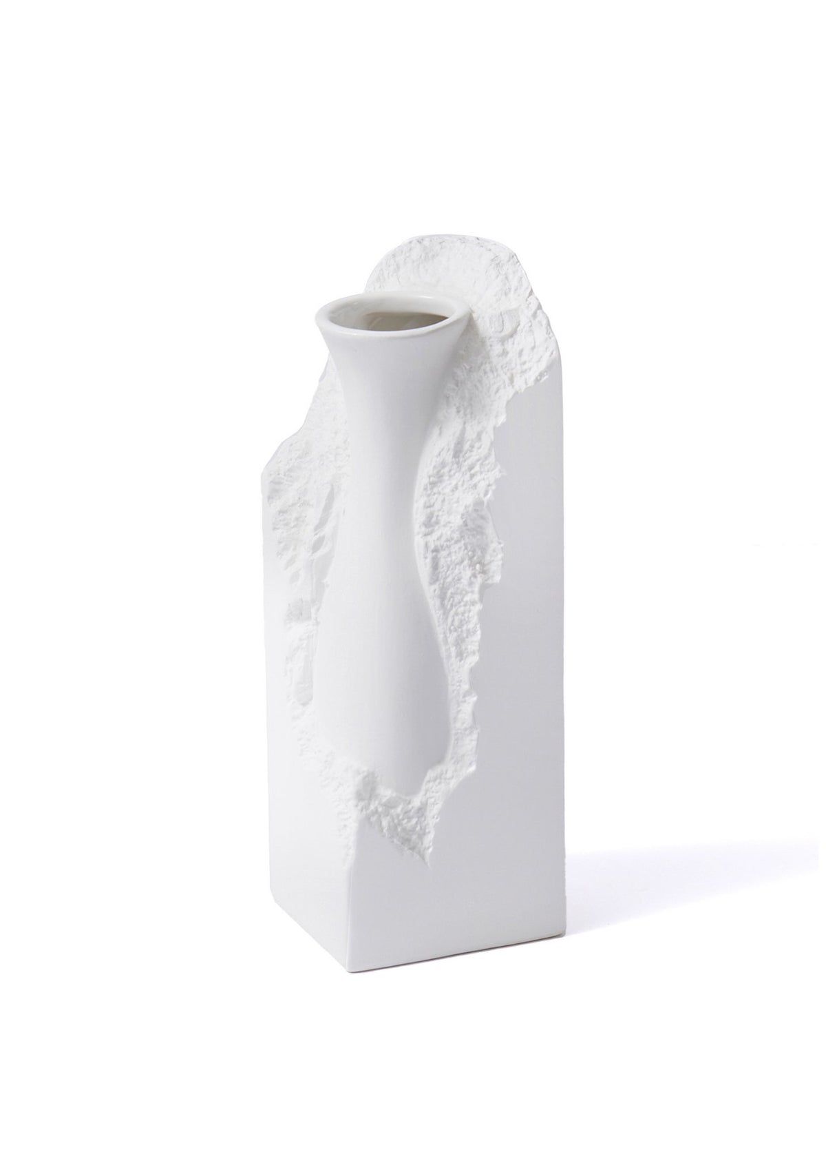 Decorative Vase CERAMIC | 742TMA4882