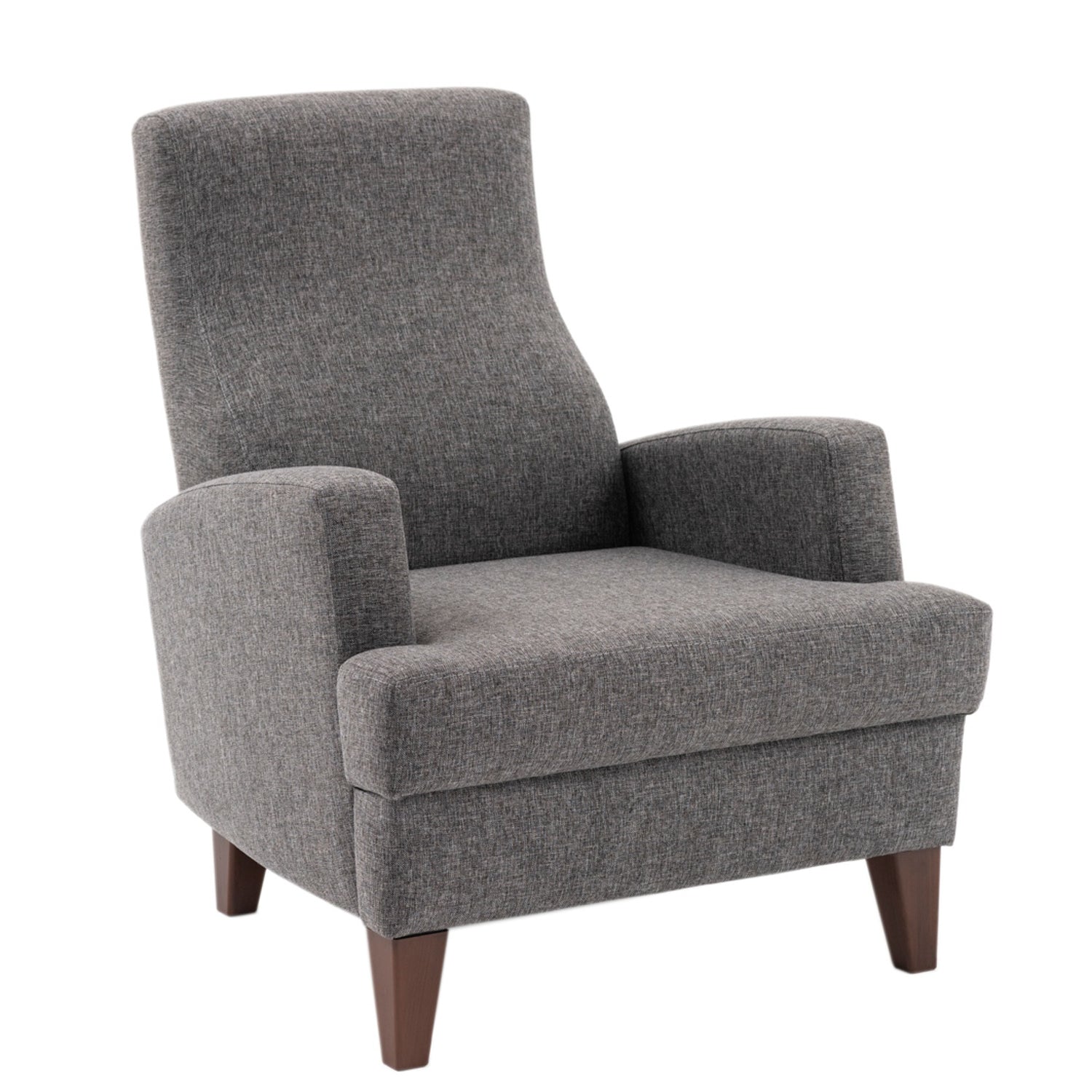 Kana Bergere | Dark Grey Wing Chair – Designer Lounge Armchair