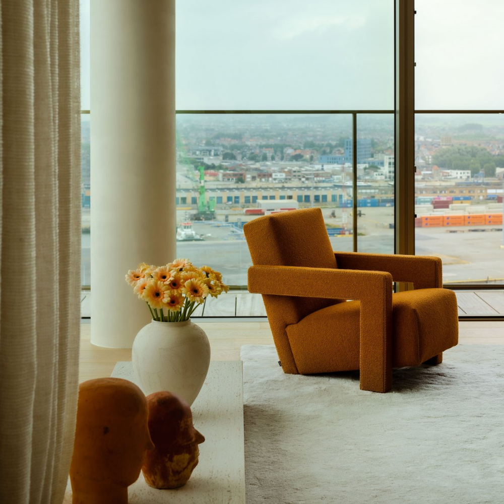 Modern Cushy lounge chair