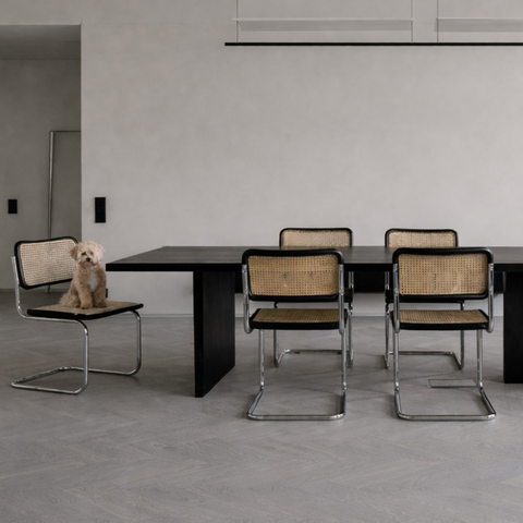 Set of 5 Black Cesca Chairs