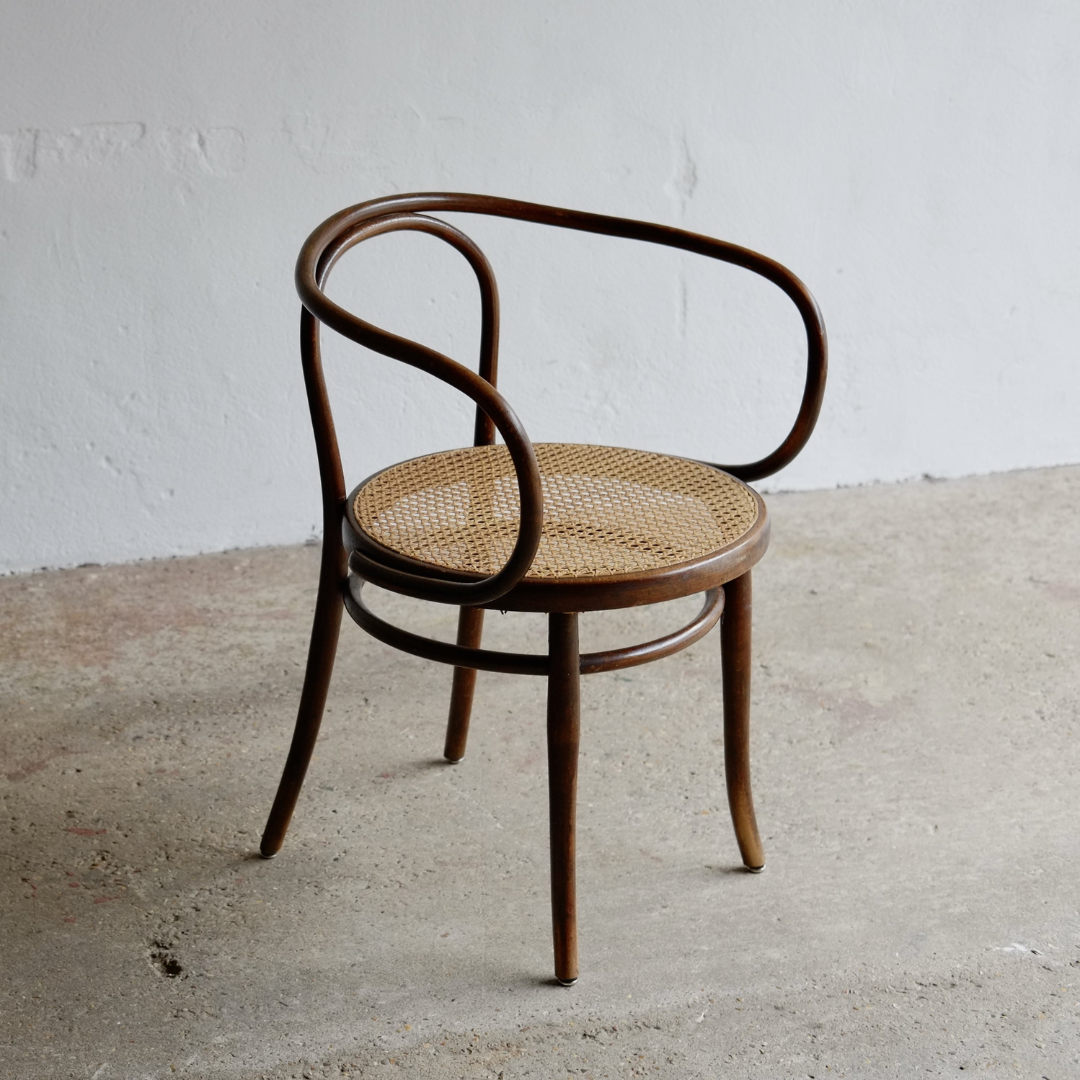Ivy design cane armchair