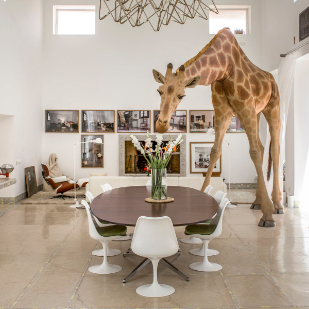 TULIP Swivel Chair (made in Asia)