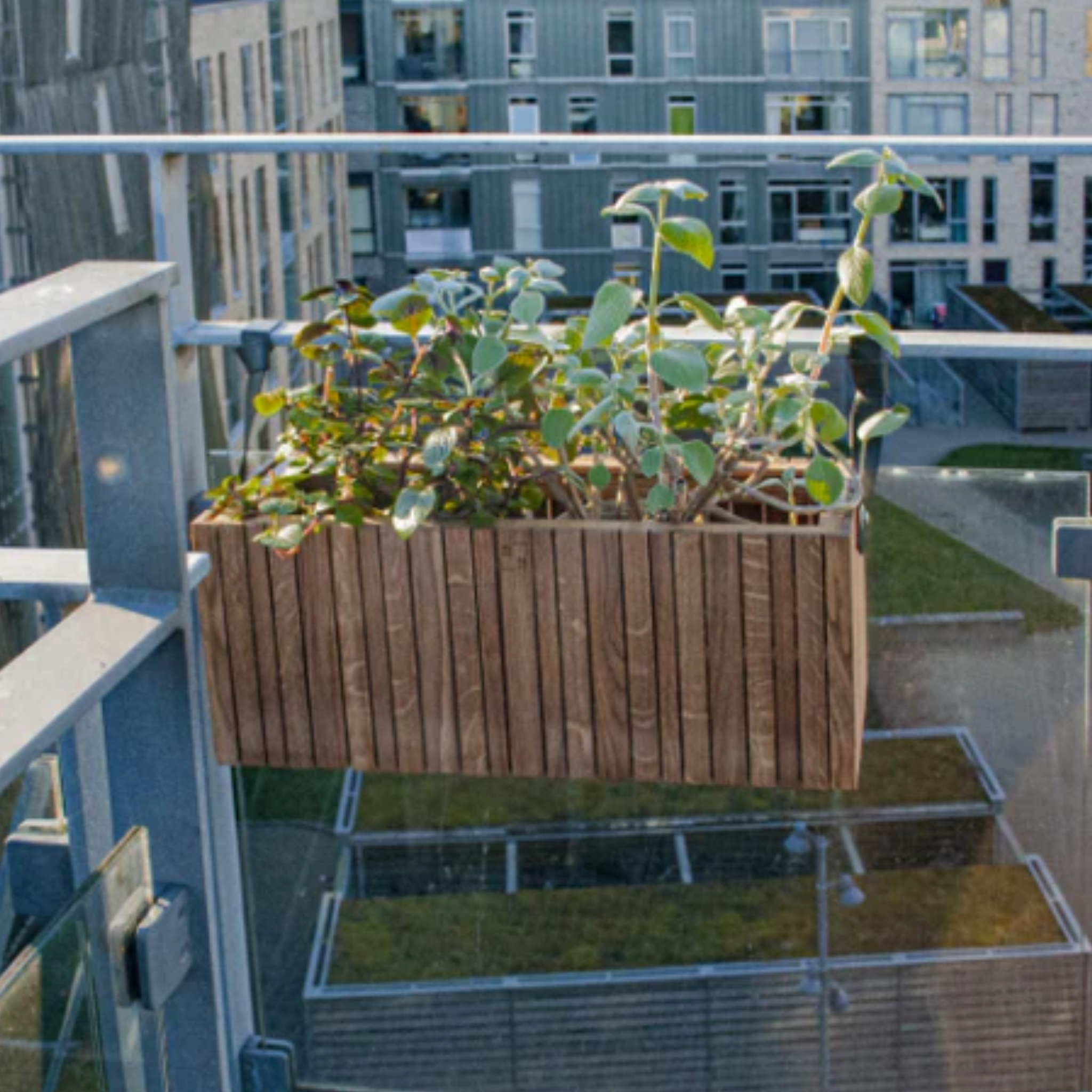 GrowWide hanging planter - Squarely