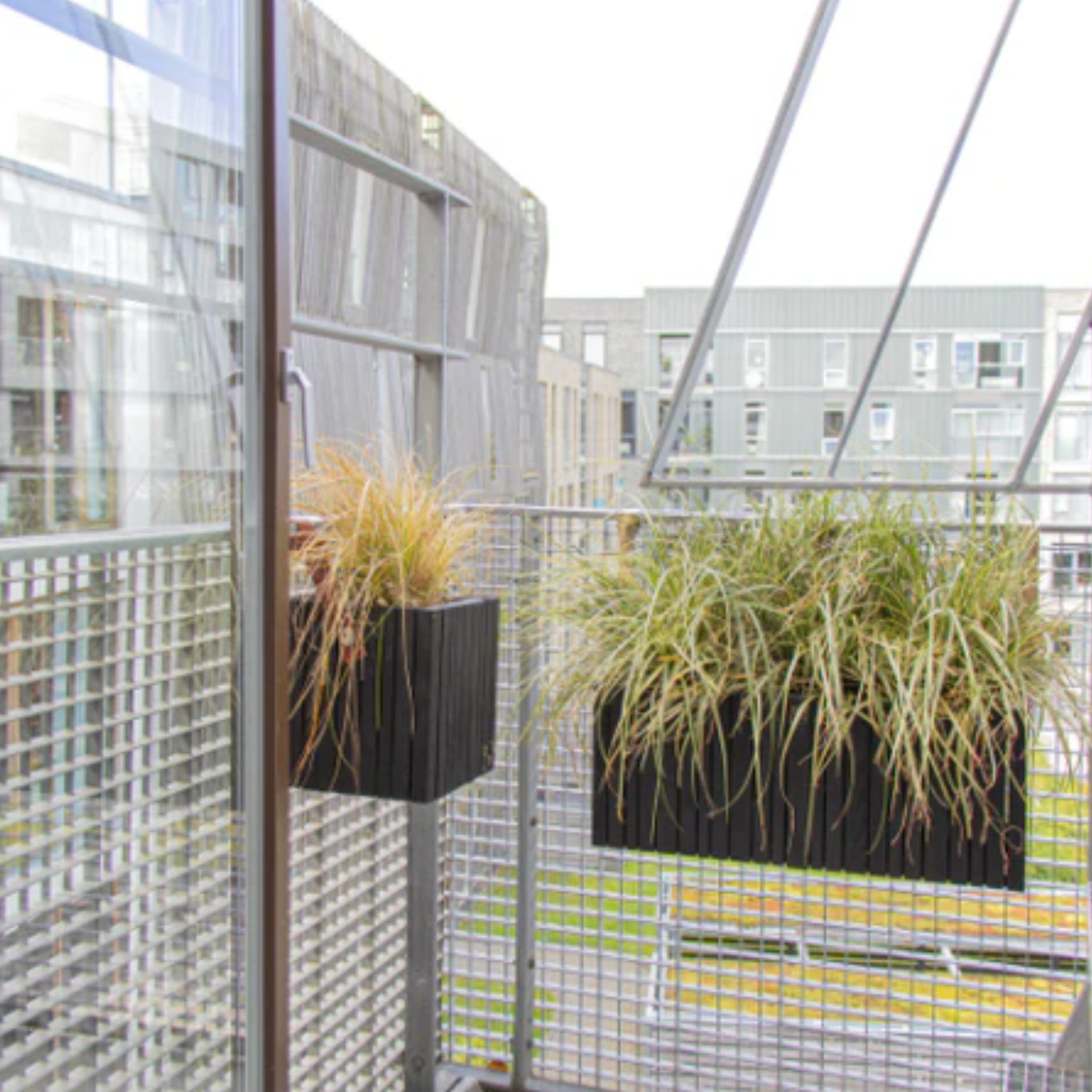 GrowWide hanging planter - Squarely