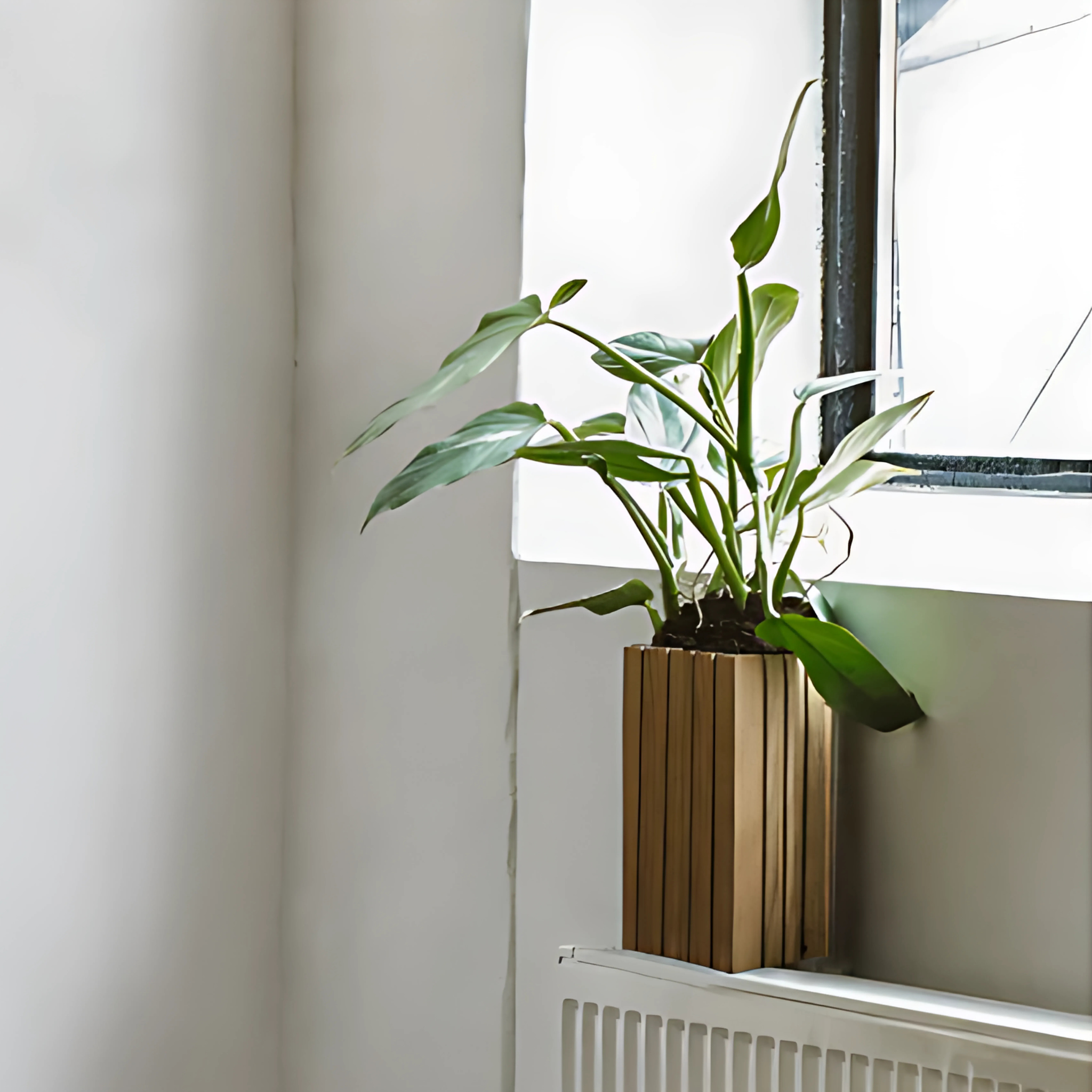 GrowSmall planter Squarely