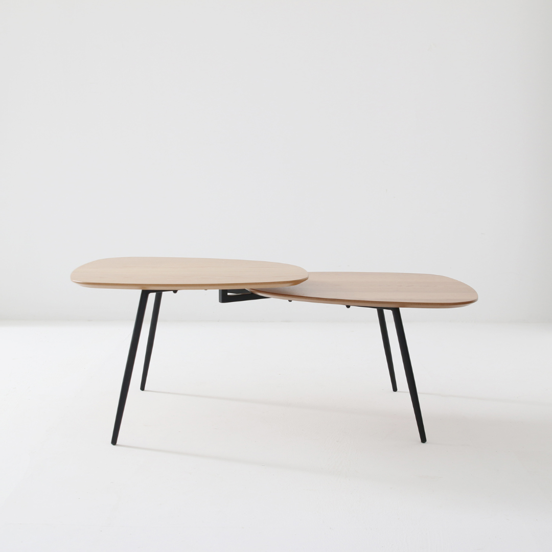 Wooden and metal low table - Alphonsa