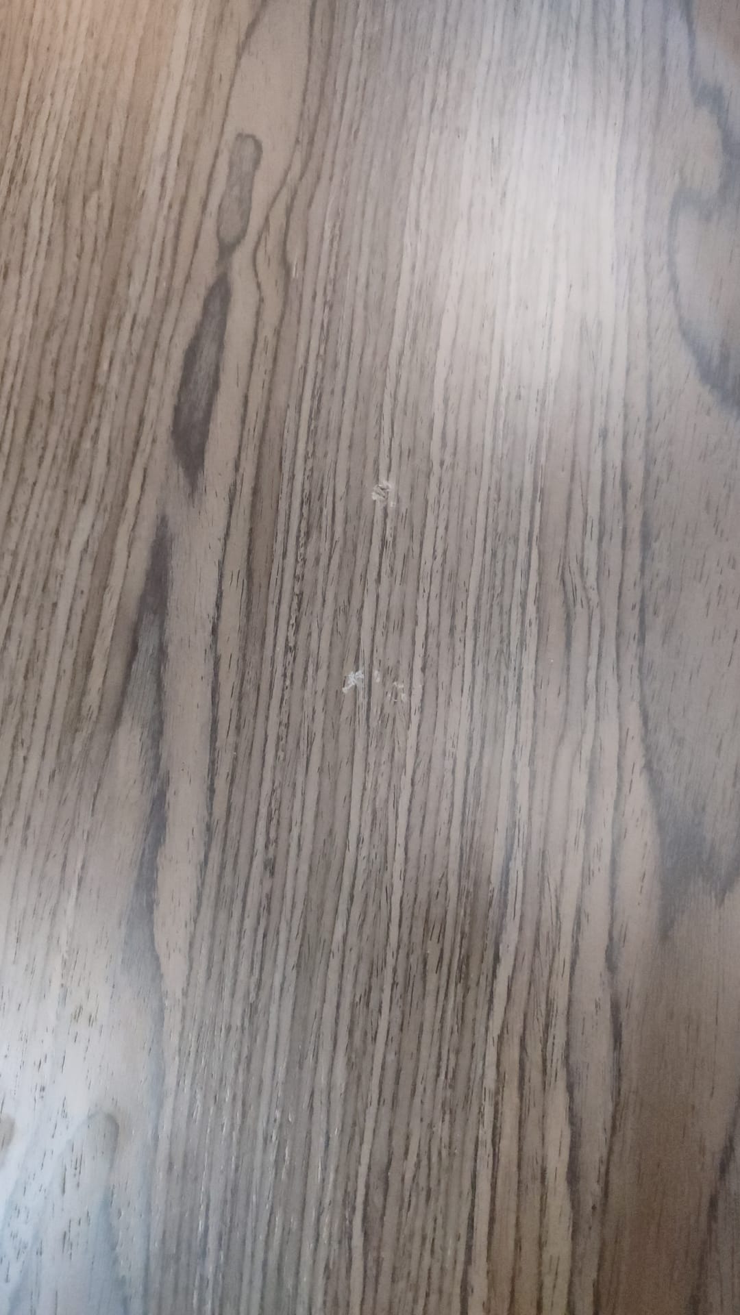 Aurora Coffee Table - Outlet