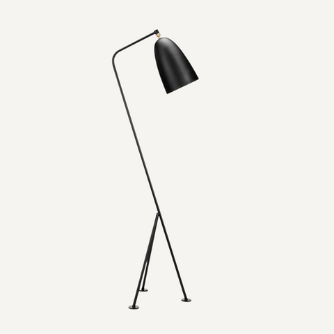 Modelo Floor Lamp