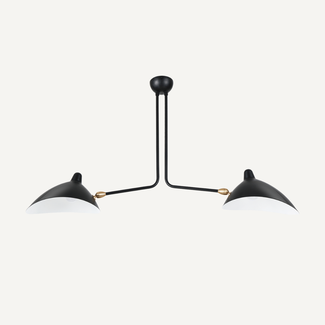 Ceiling Spider lamp 2 arms