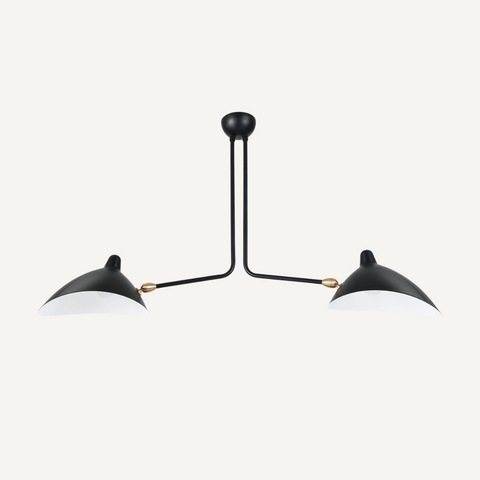 Ceiling Spider lamp 2 arms