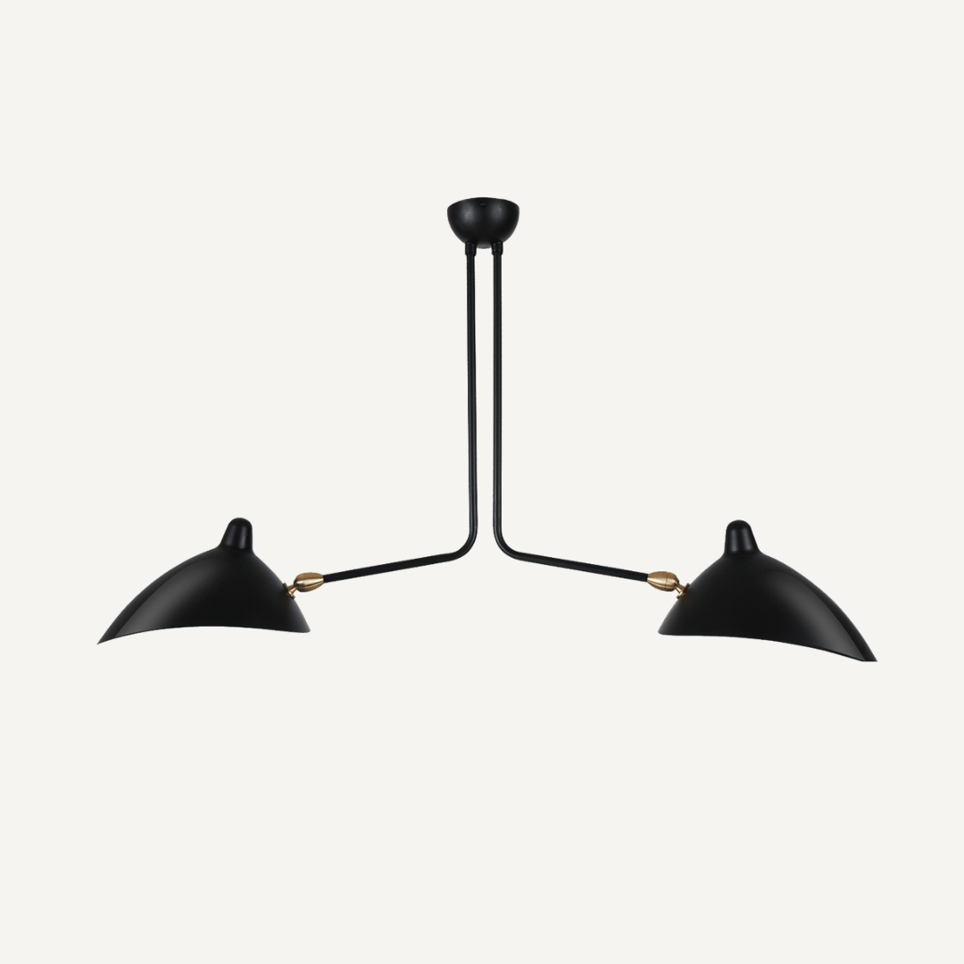 Ceiling Spider lamp 2 arms