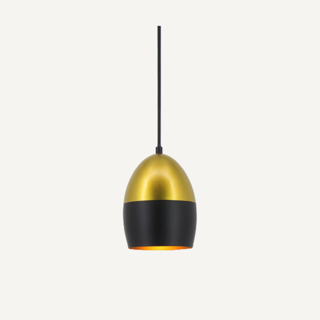 Black and Gold Pendant lamp